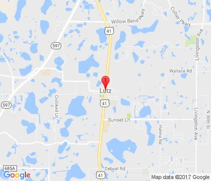 logo-image logo-image - lutz-fl