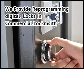 Lutz Locksmith Service Lutz, FL 813-280-8331 - com-02
